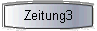  Zeitung3 