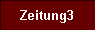  Zeitung3 